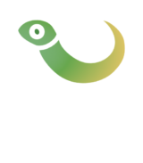 GreenPixel-web | Création de sites internet à Rochefort, Charente-Maritime